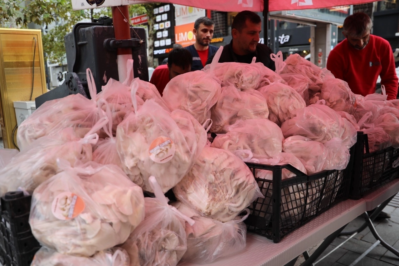 Kocaeli İzmit Belediyesi, kendi ürettiği mantarları vatandaşa dağıttı