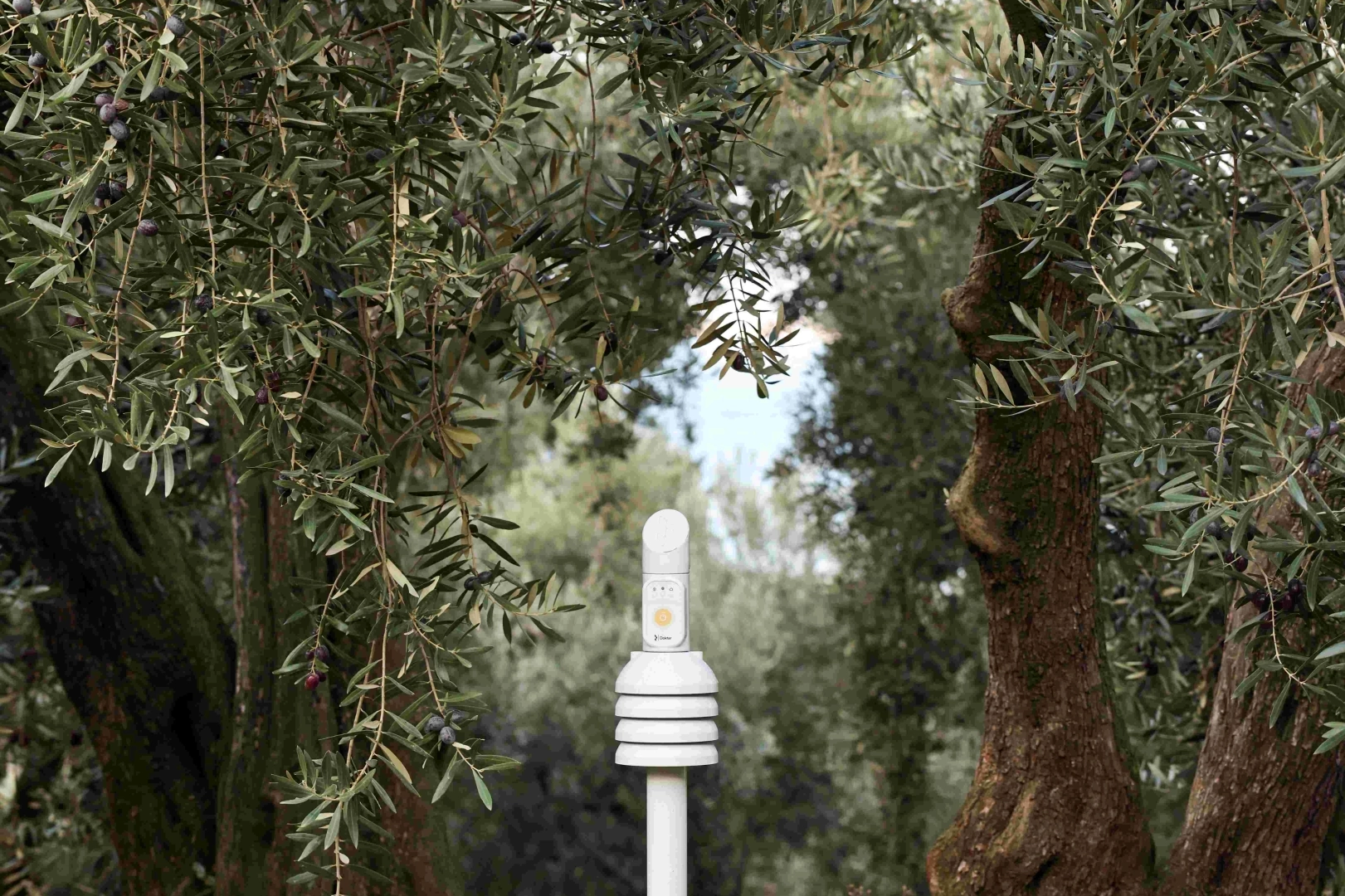 Cargill’in 1000 Çiftçi 1000 Bereket programı 7