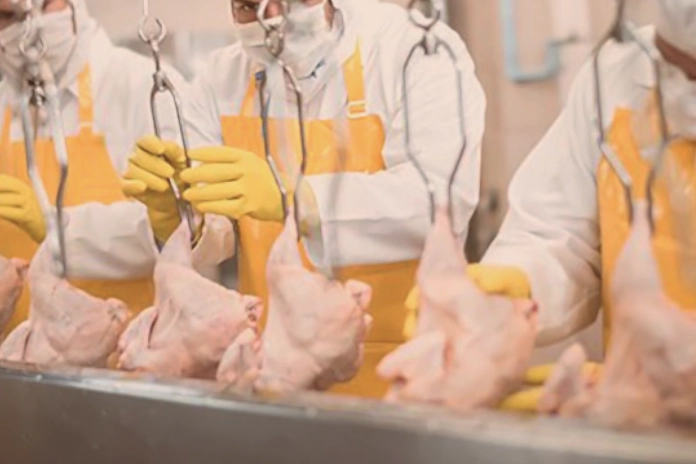 Filipinler’e kanatlı eti ve su ürünleri yolu açıldı