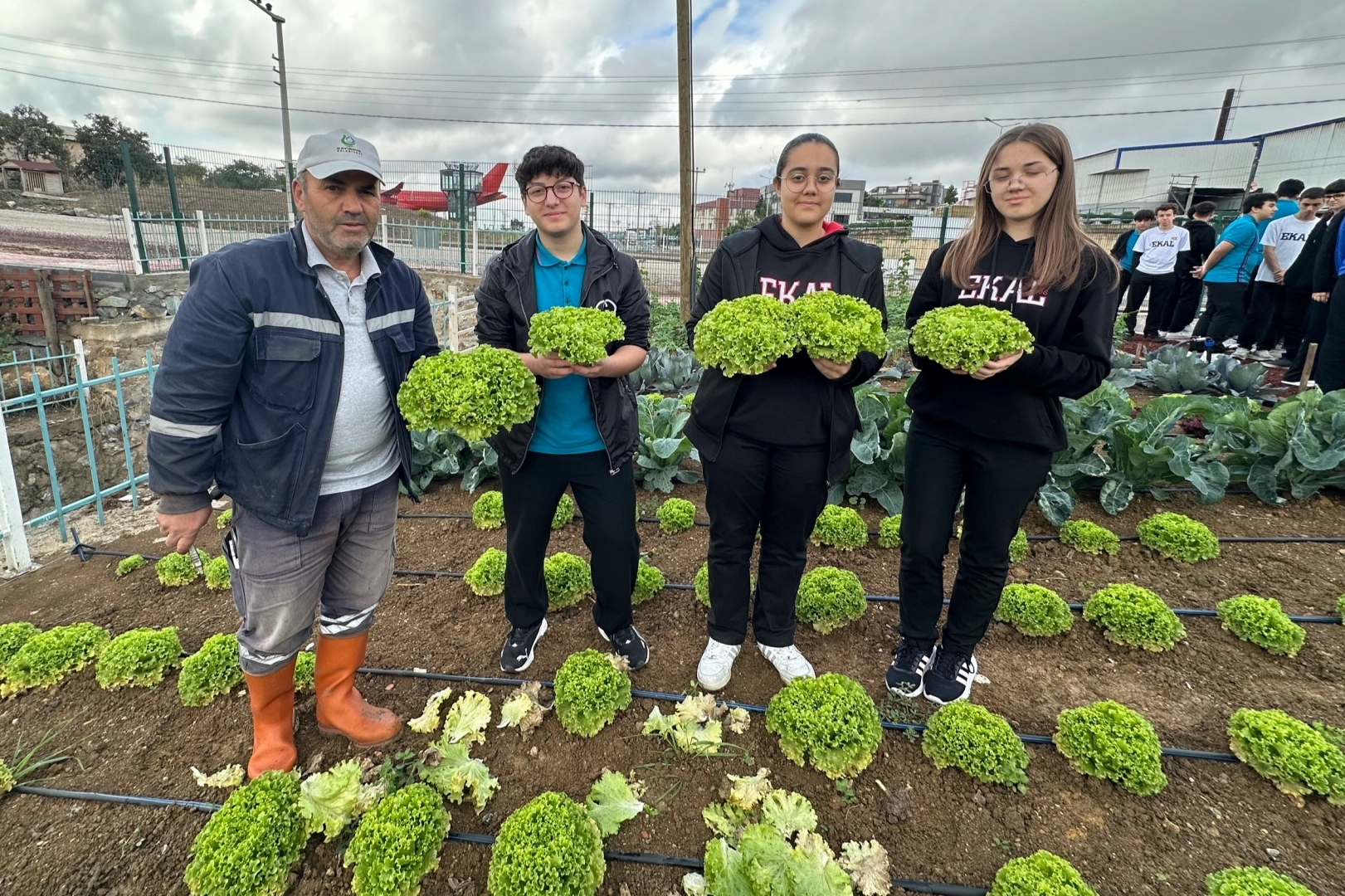 Bahçem Çayırova’da öğrencilerden kıvırcık ve roka hasadı