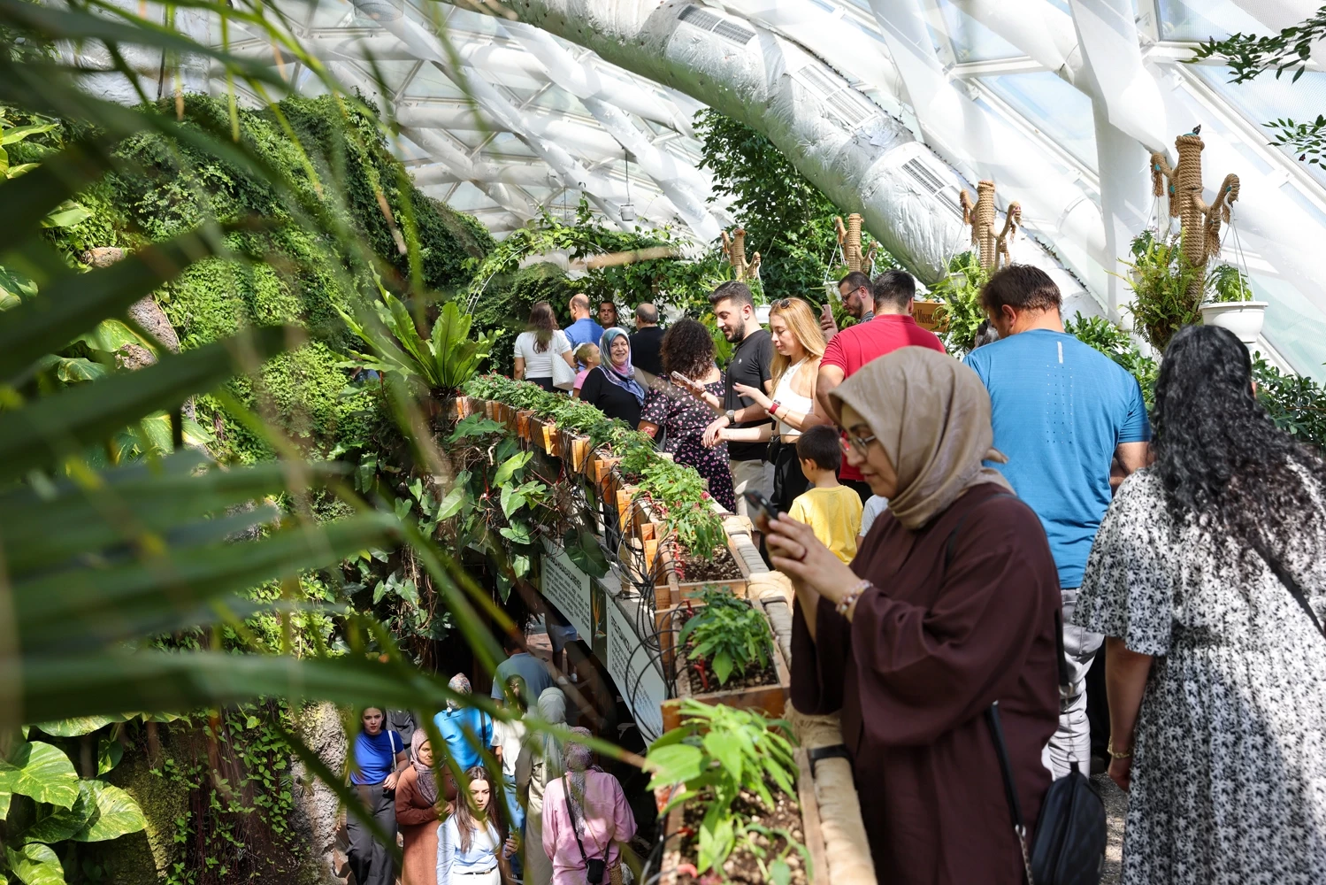 Konya Tropikal ziyaretçilerin gözdesi oluyor