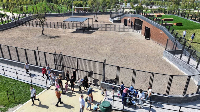 ANKARALILARIN YENİ GÖZDESİ: ATATÜRK ÇOCUKLARI VE DOĞAL YAŞAM PARKI