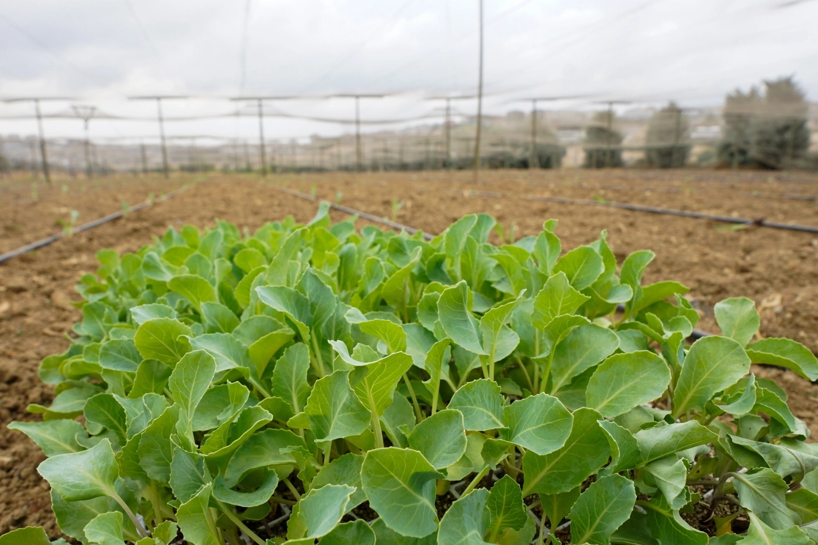 İstanbul Beylikdüzü